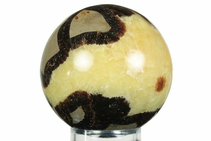 Polished Septarian Sphere - Madagascar #230392